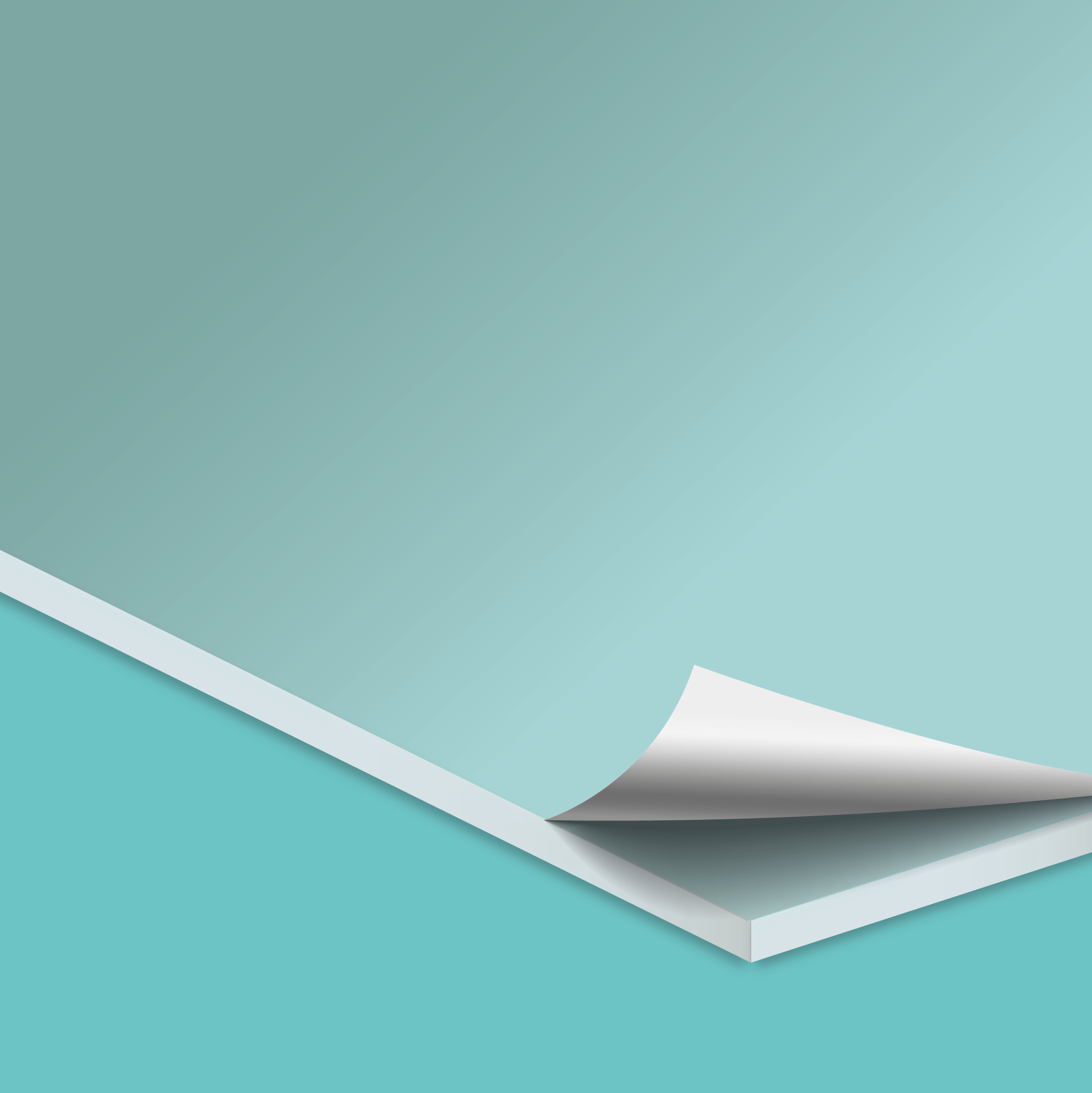 Clear Acrylic Print + Mount