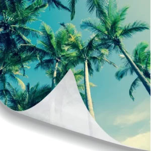 Basket- 9 | Soft backlit lightbox fabric print glowing with vivid colour and fine detail