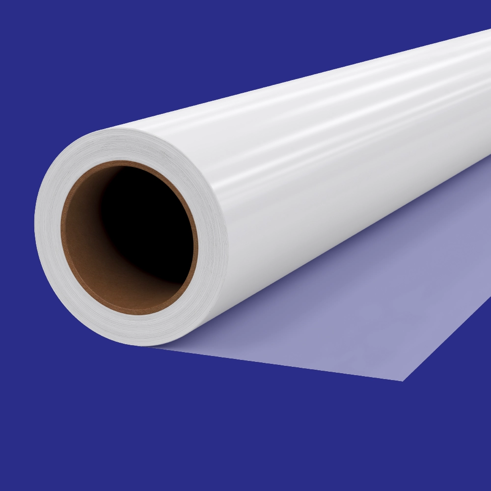 Duratran backlit film print with vibrant colour and clarity